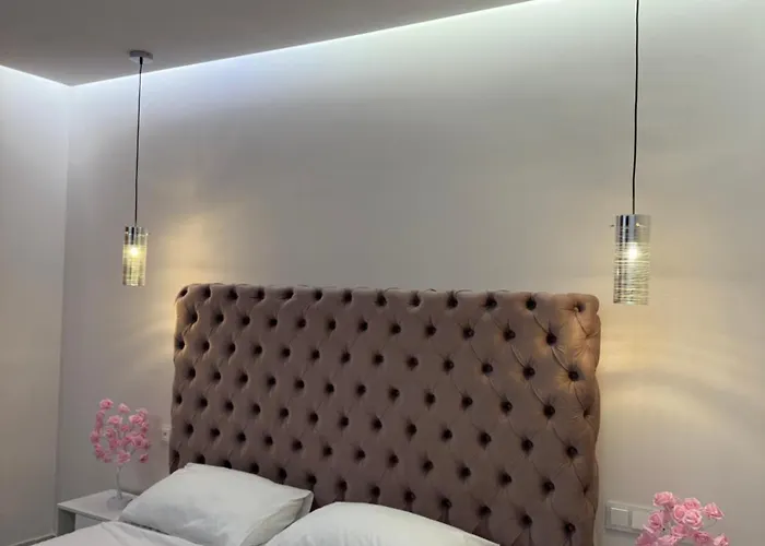 Luxury Apartment